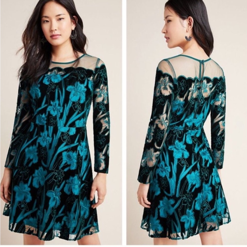 NWT Eva Franco Juliet Embroidered Velvet Dress